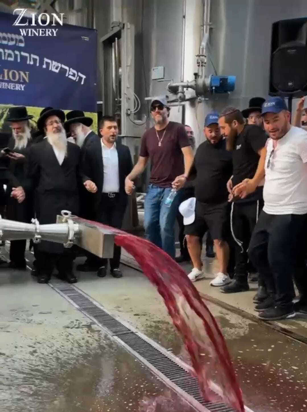 היין זורם מהברזים. יקבי ציון