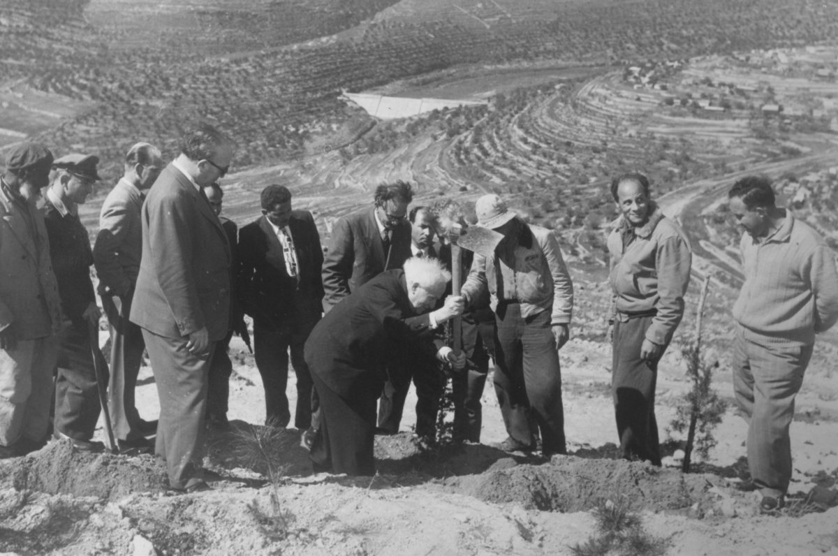 צילום: אדגר הירשביין, ארכיון הצילומים של קק"ל