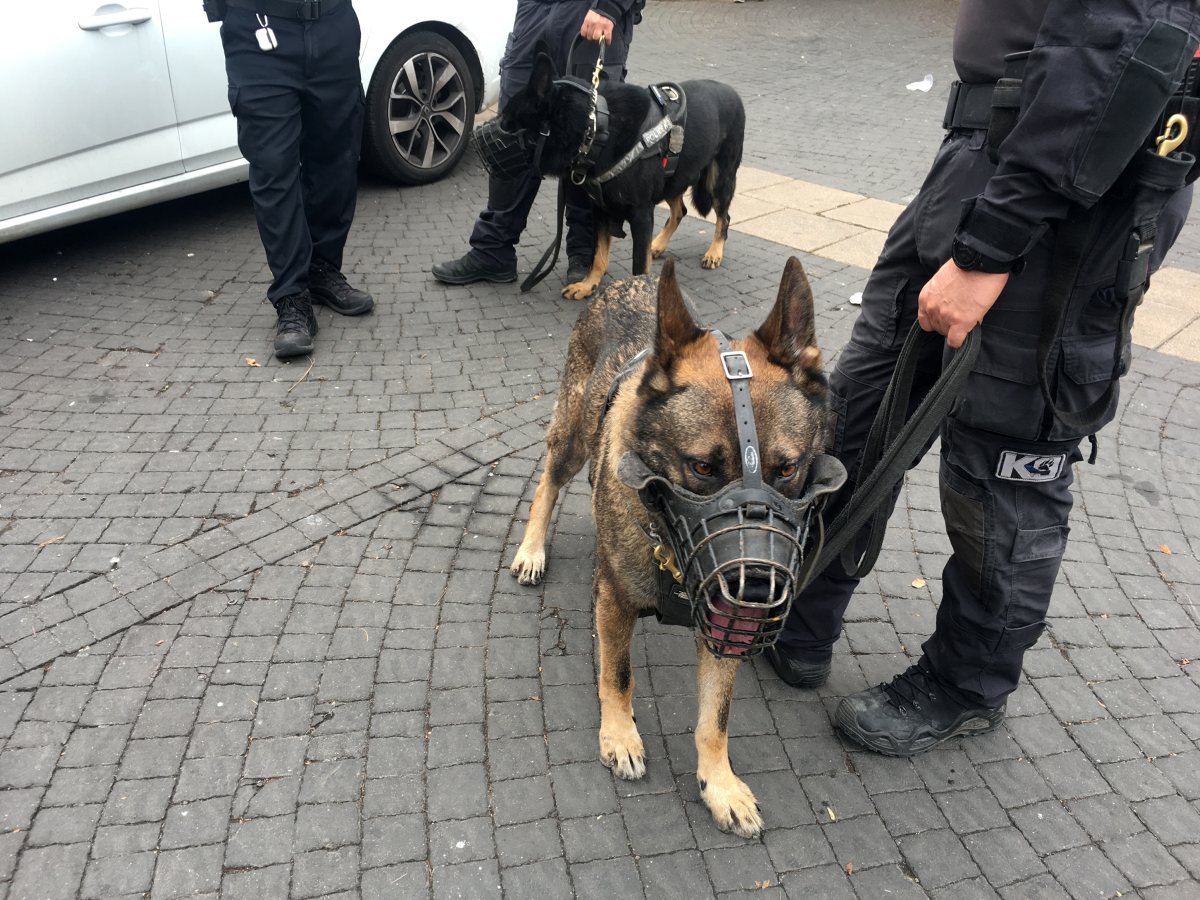 אילוסטרציה shutterstock