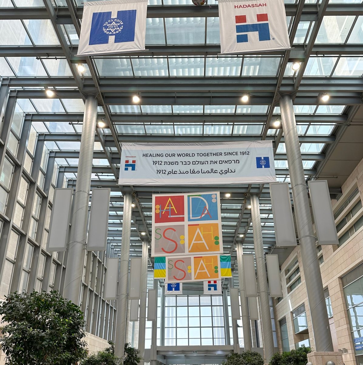 בית חולים הדסה | שאטרסטוק