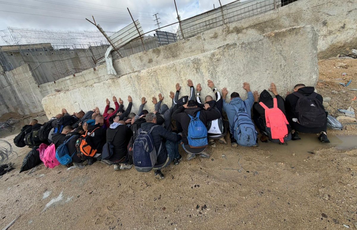 השבחים שנתפסו בצפון ירושלים | דוברות המשטרה