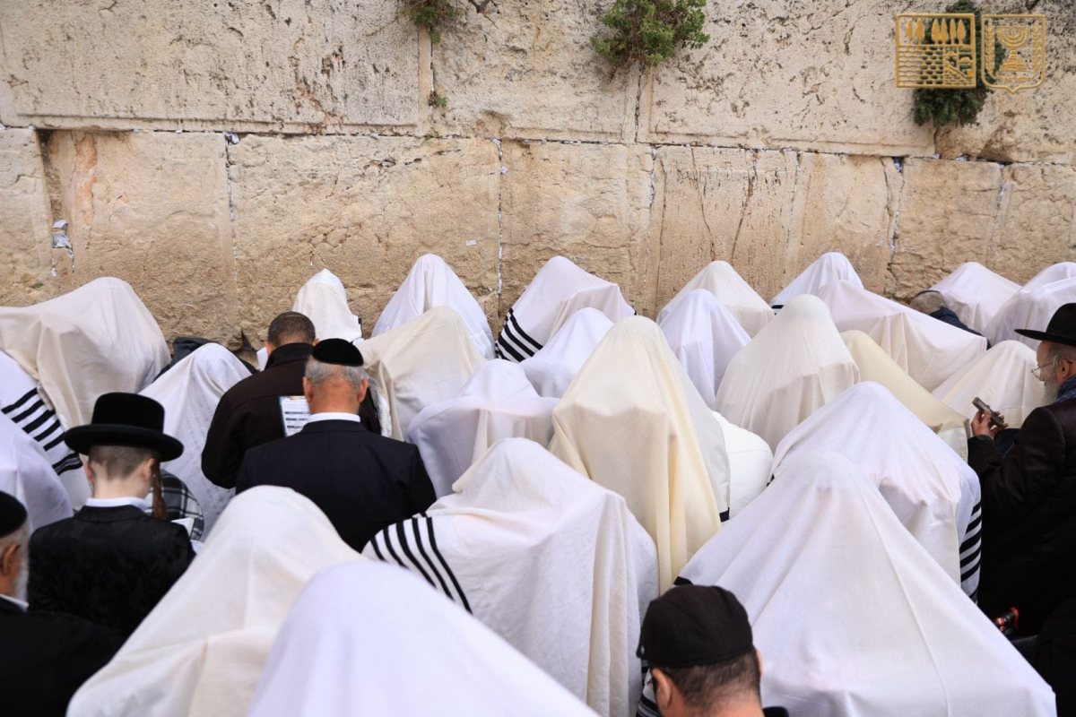 הכהנים מברכים