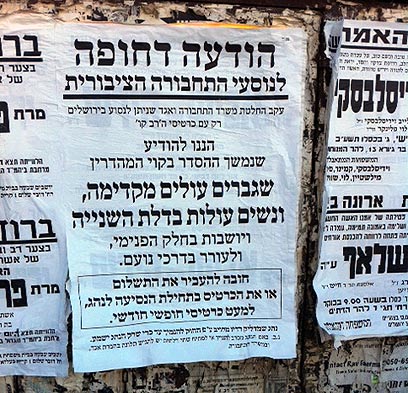 פאשקוויל קווי מהדרין