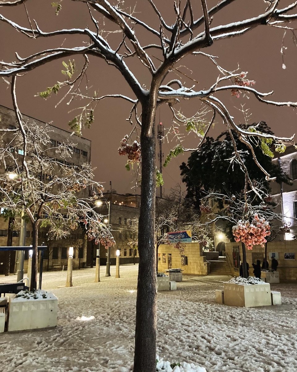 נוף ירולשמי, חן אטלאני. תחרות תמונה ירושלמית של ירושלים החרדית