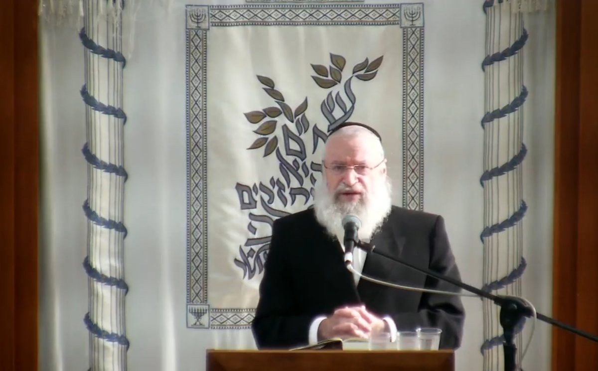 הגר"א וייס שליט"א הגר"א וייס שליט"א