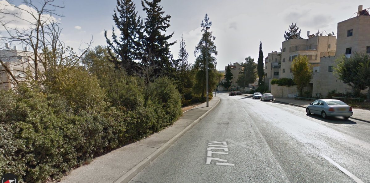 רחוב צונדק הפורח | גוגל מפות