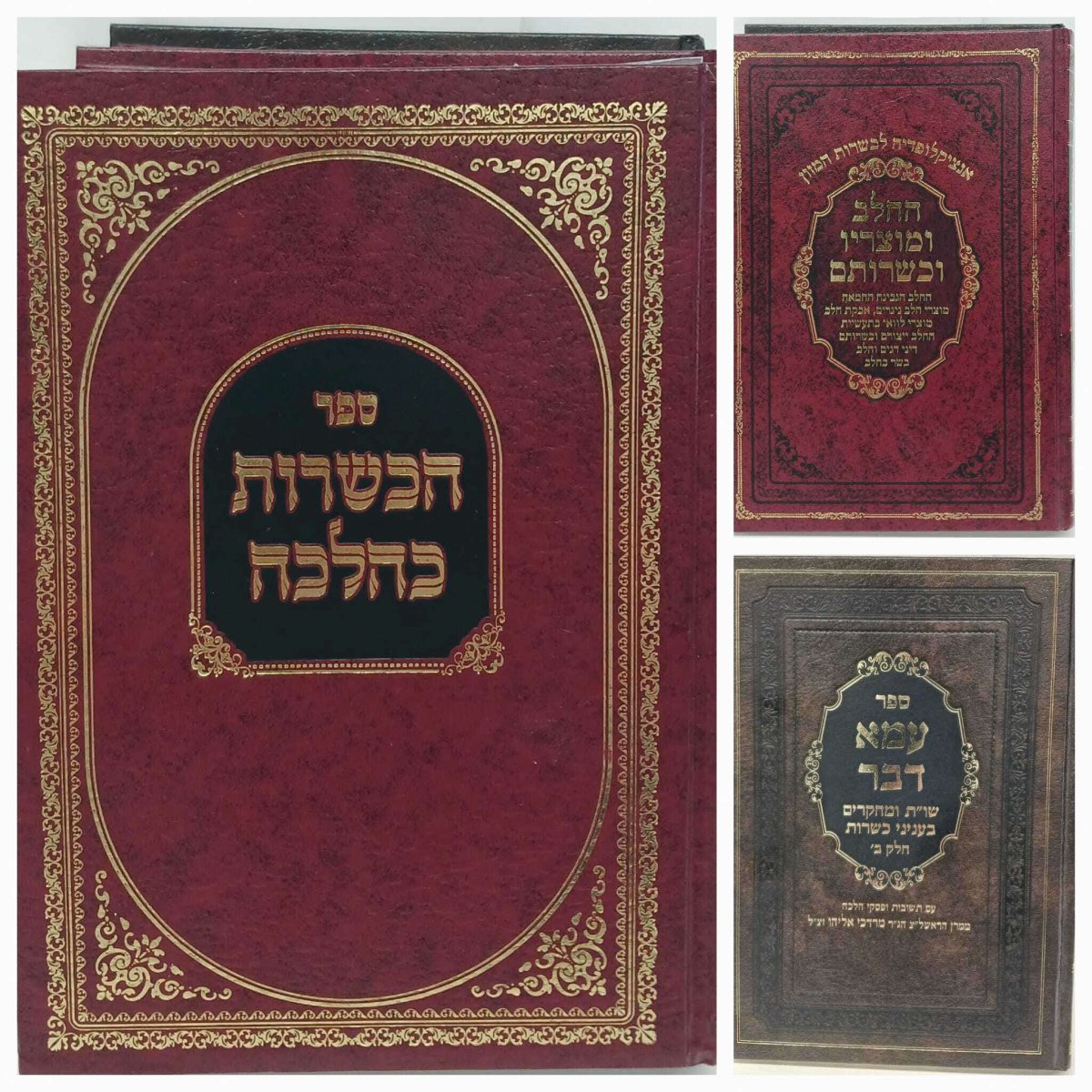 ספרו הכשרות בהלכה