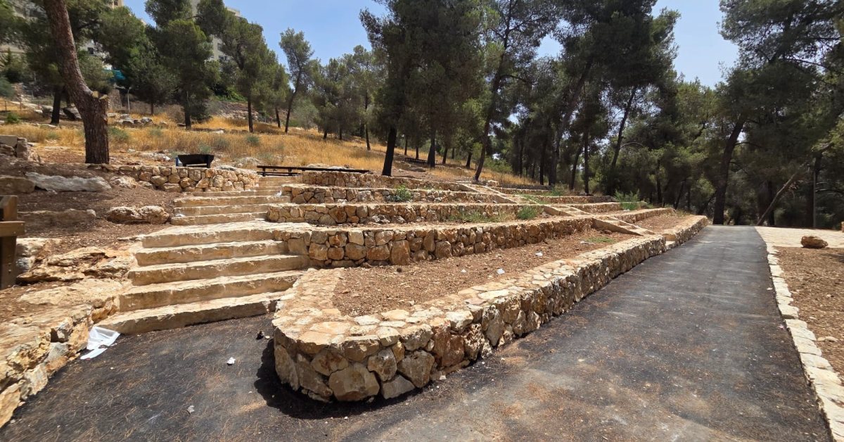 יער הר נוף המשודרג | קק&quot;ל / איילת עקיבא