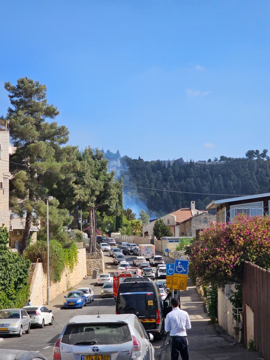 השריפה בהר נוף | כב"ה השריפה בהר נוף | כב"ה