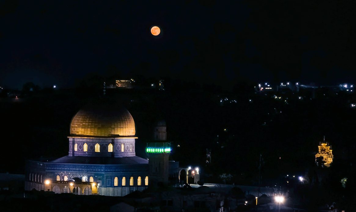 אילוסטרציה אילוסטרציה
