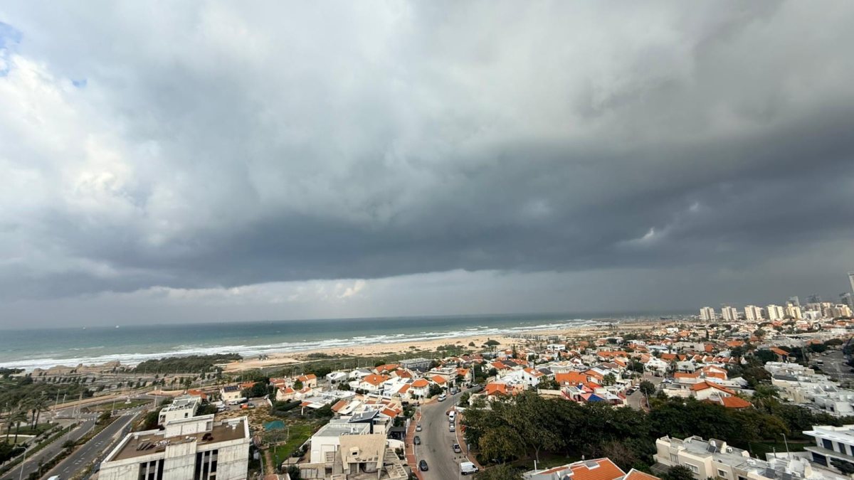 צילום: שמואל דוד