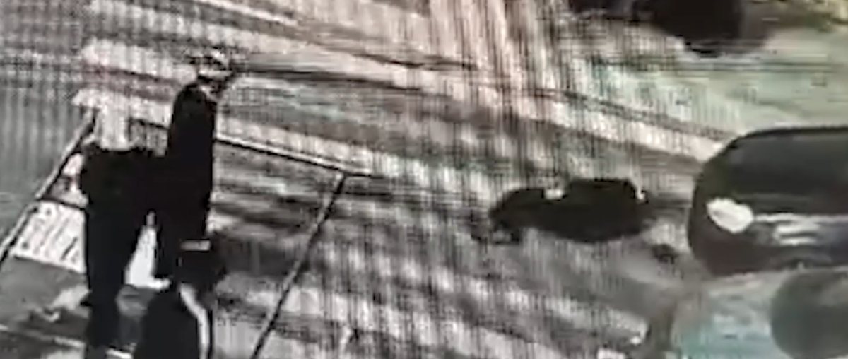 דוברות המשטרה