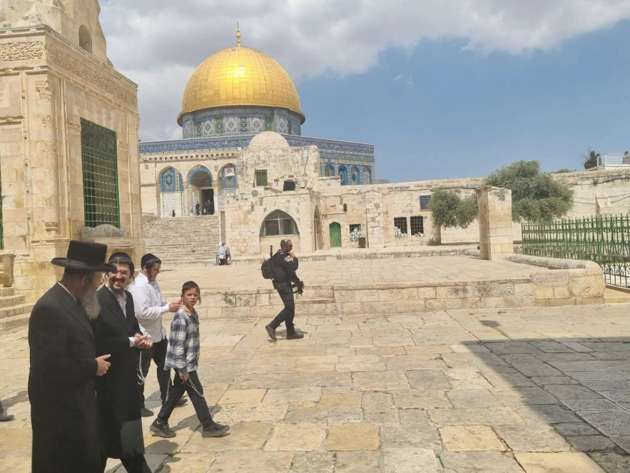 חרדים בהר הבית | ארכיון: מינהלת הר הבית