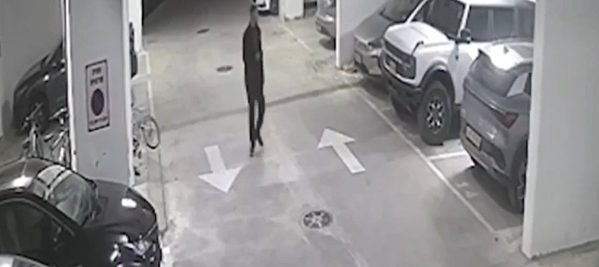 תיעוד ממצלמות האבטחה | אלעד בראשי חדשות 14