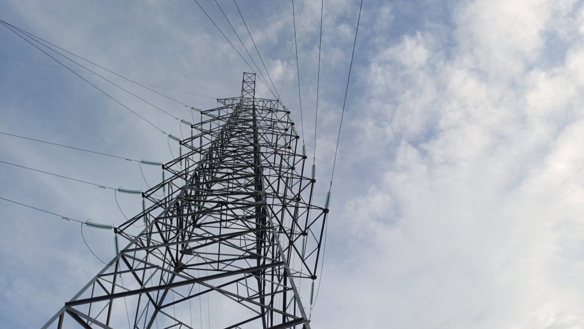 אילוסטרציה shutterstock