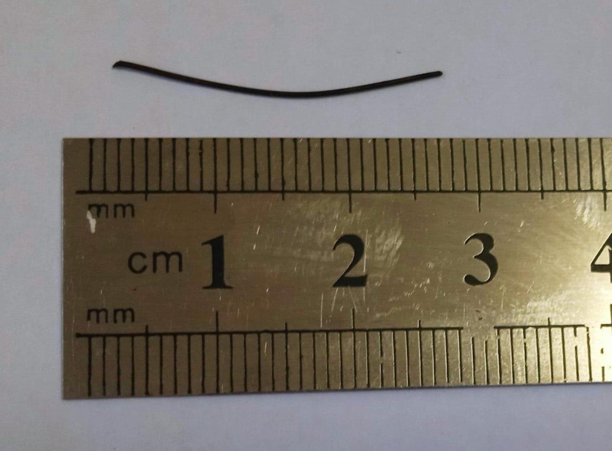 הברזל החד באורך 3 ס"מ | דוברות שערי צדק