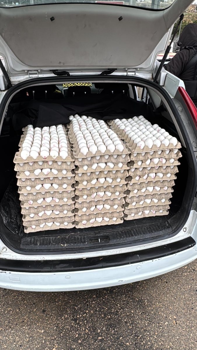 משווק ביצים | דוברות המשטרה