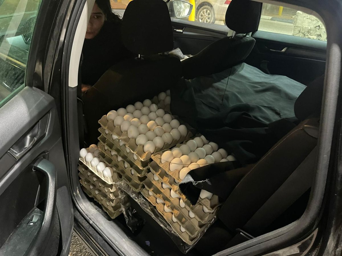 חלק מהביצים המוברחות | דוברות המשטרה