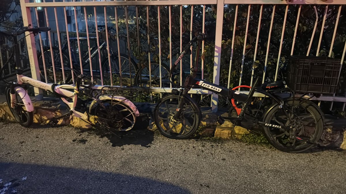 הוצתו גם אופנים | דוברות המשטרה