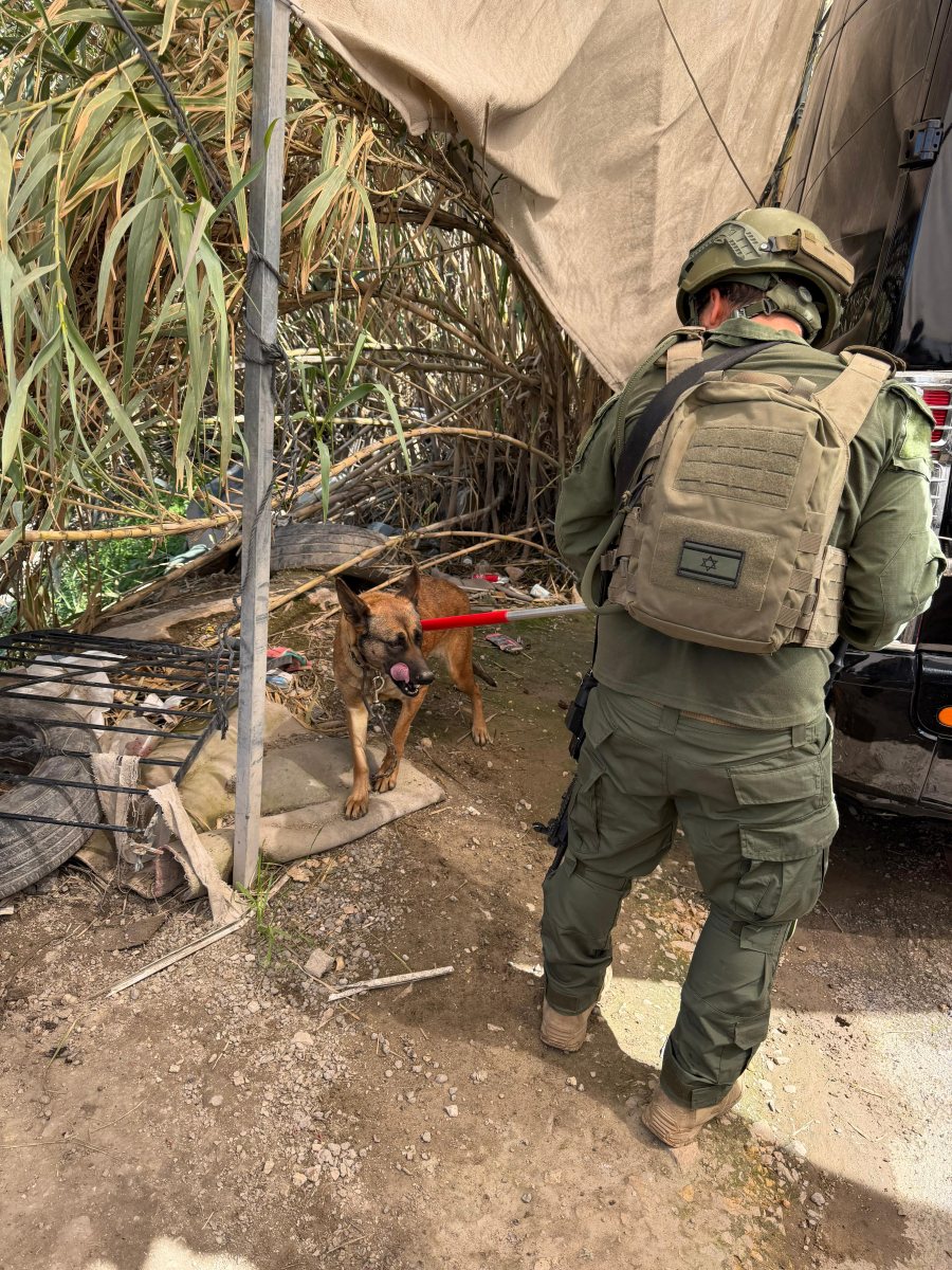 דוברות המשטרה