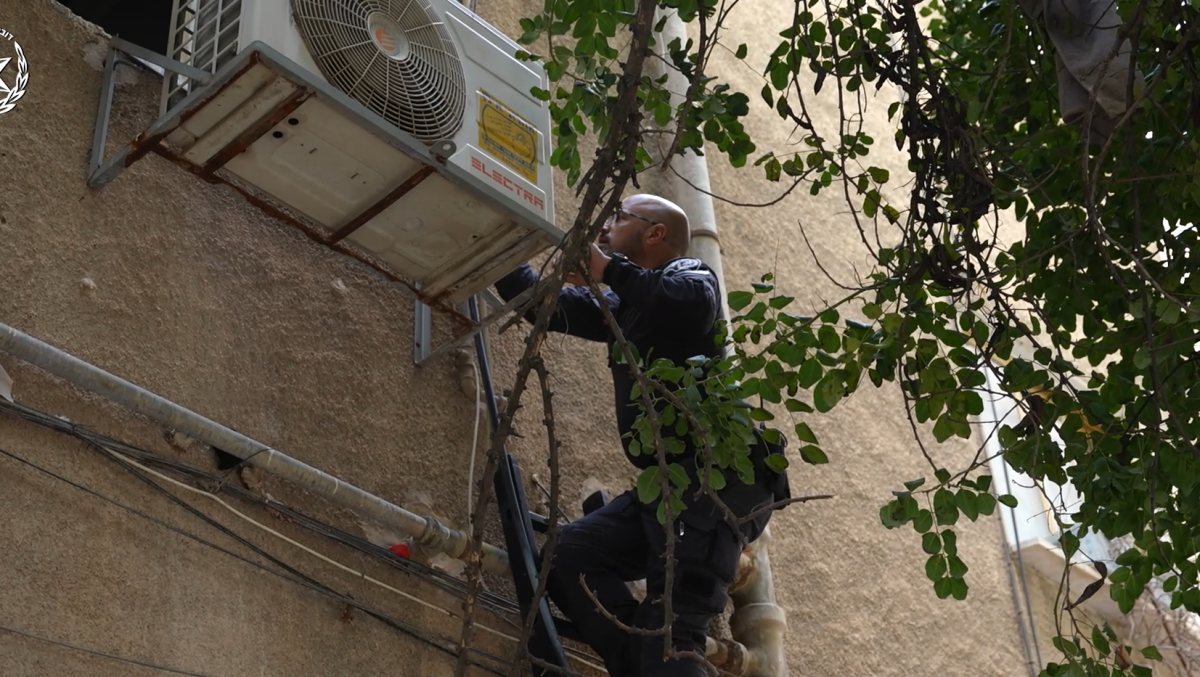 שוטר מביט מבעד לענפי העץ | דוברות המשטרה
