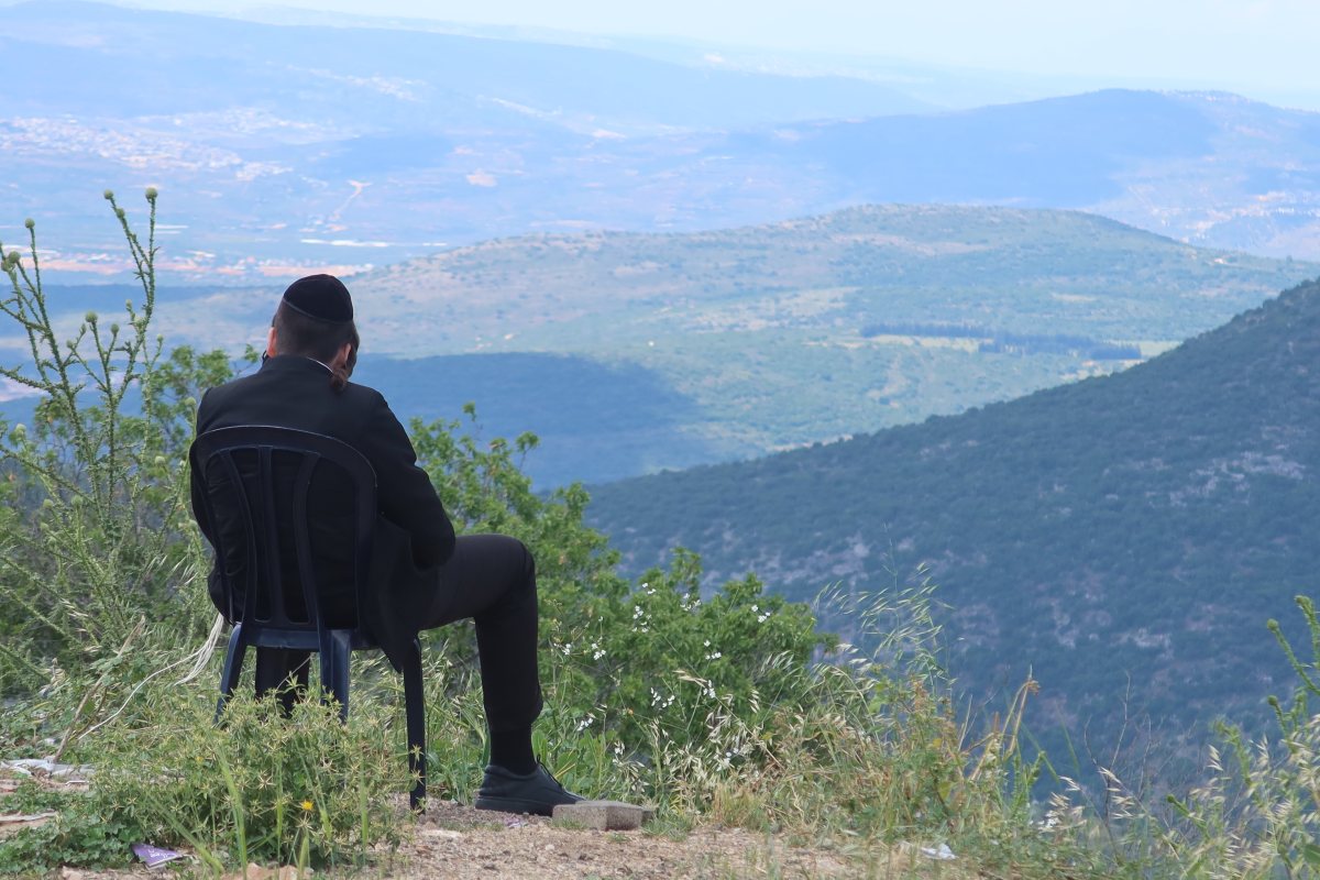 לא נעים לראות יער סגור | אילוסטרציה shutterstock