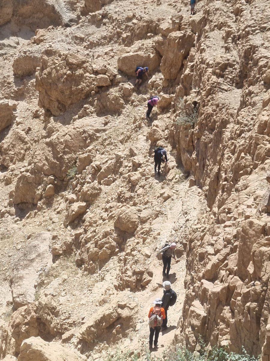 המטיילים בנחל | חילוץ מגילות יל"פ