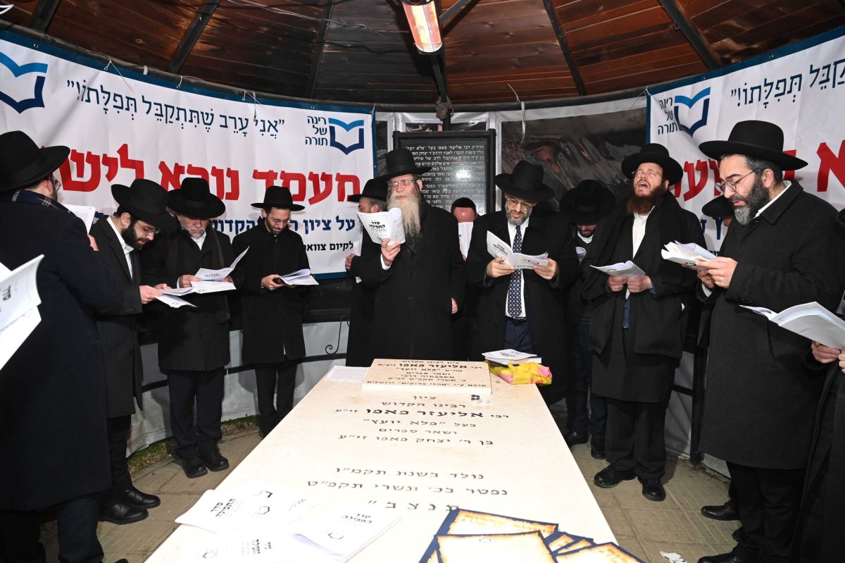רבני רינה של תורה על קברו של הפלא יועץ | ארכיון: שוקי לרר