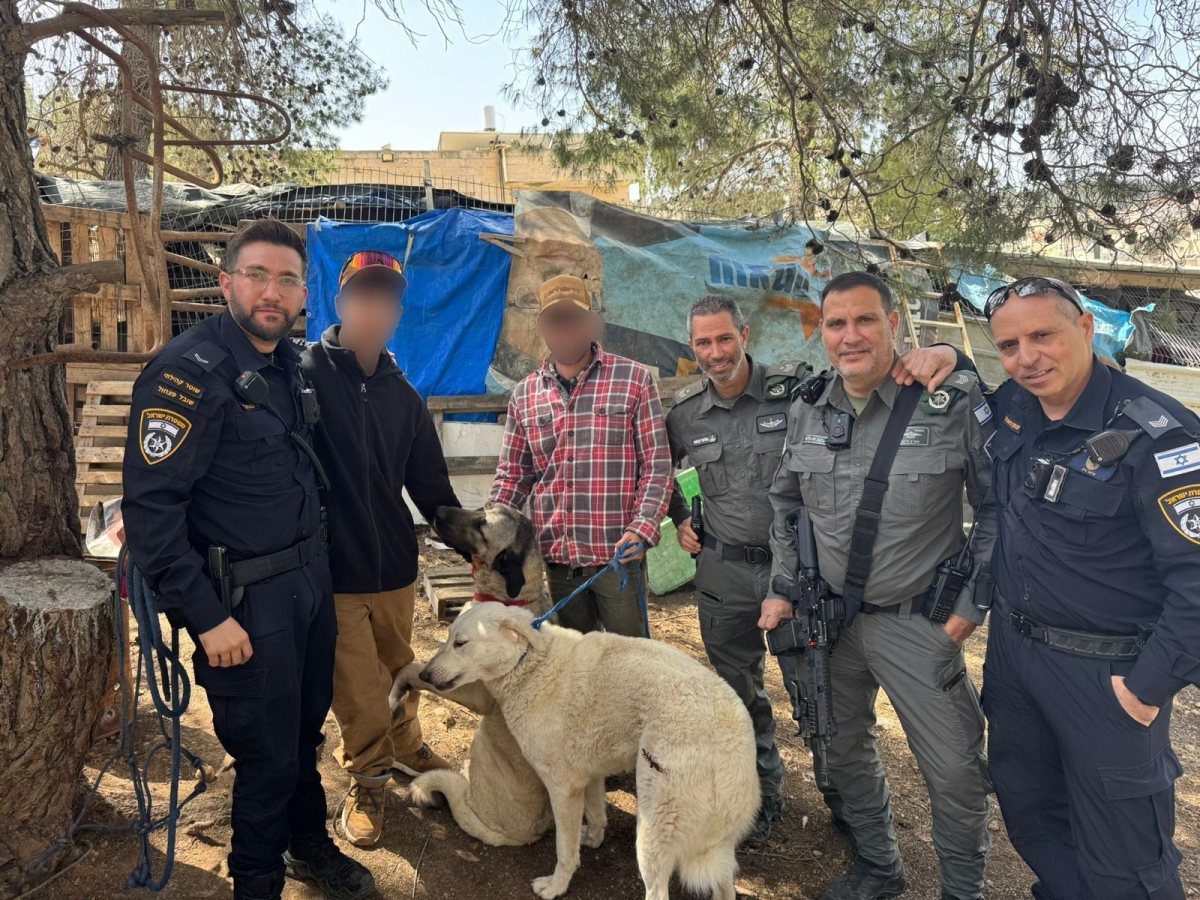 כלבי הרועים שאותרו | דוברות המשטרה