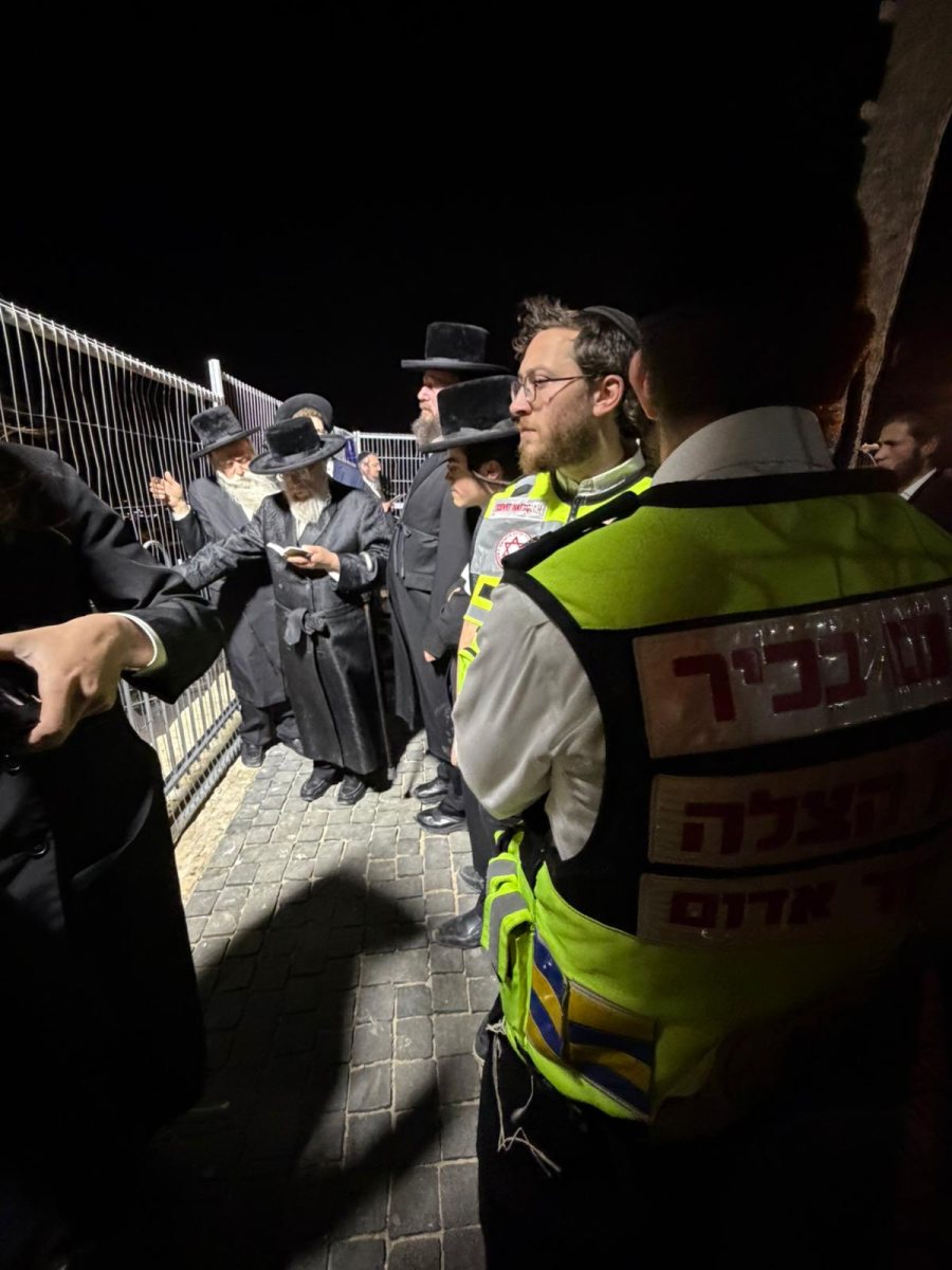 האדמו"ר מפינסק קרלין בהילולא | מקור: ישראל כהן