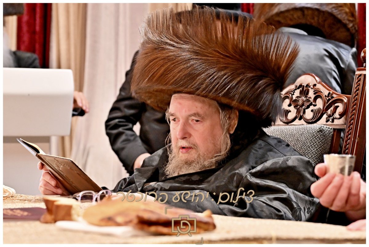 צילום: יהושע פרוכטר