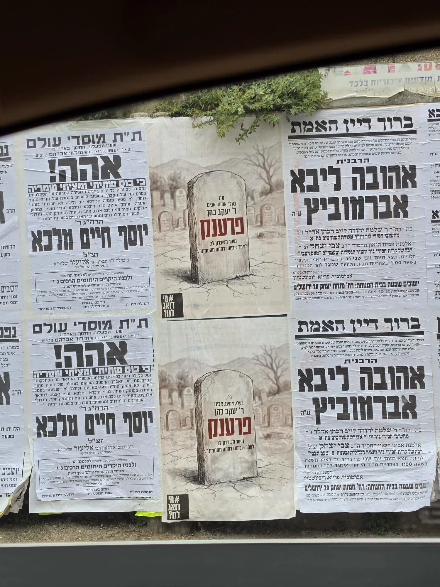 הקמפיין