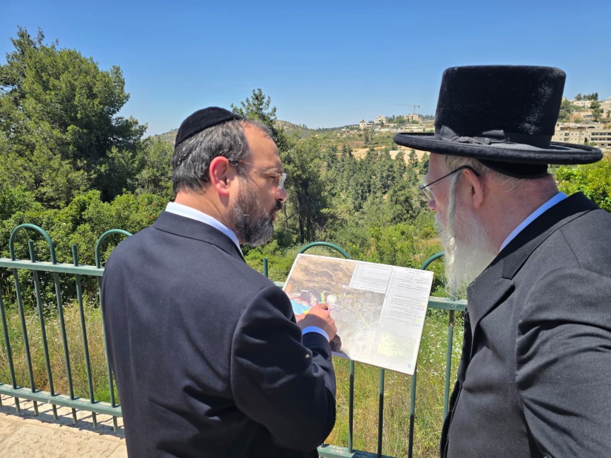 התצפית המשותפת | מקור: ישראל כהן
