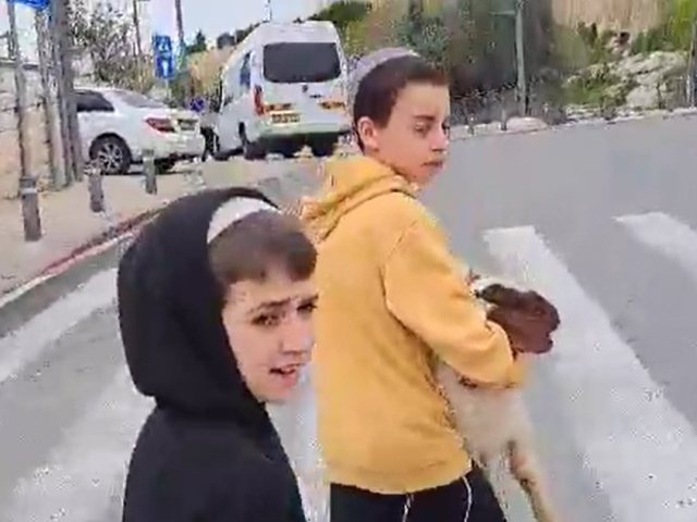 בנו של סגל עם הגדי | ארנון סגל