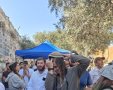 תפילין בהר הבית | ארגון בידינו