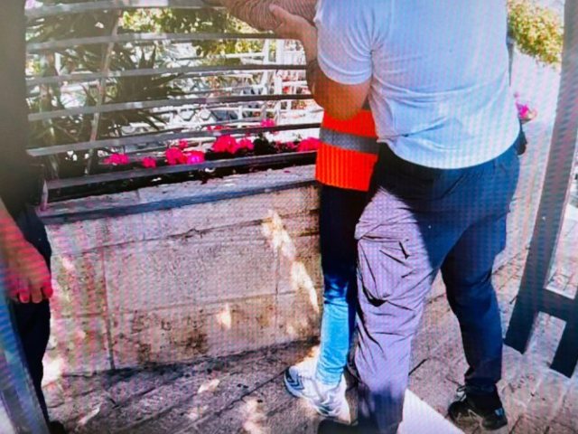 מעצר שב"ח בירושלים. צילום: דוברות המשטרה
