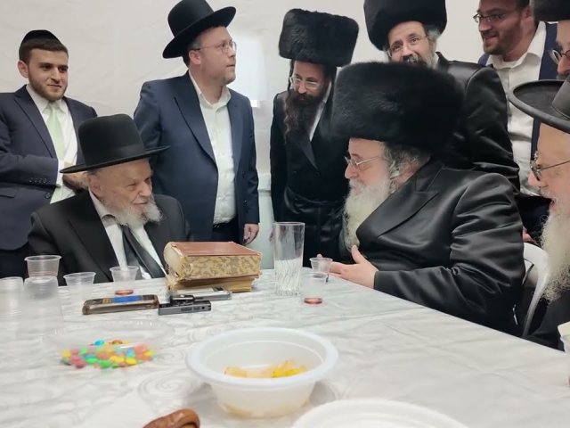הגרמ"ה הירש והגר"ש אלתר | ארכיון "בקודש פנימה"