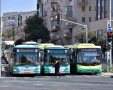 קרדיט: defotoberg / Shutterstock.com