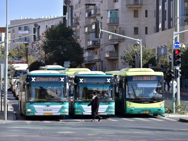 קרדיט: defotoberg / Shutterstock.com