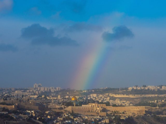 אילוסטרציה shutterstock