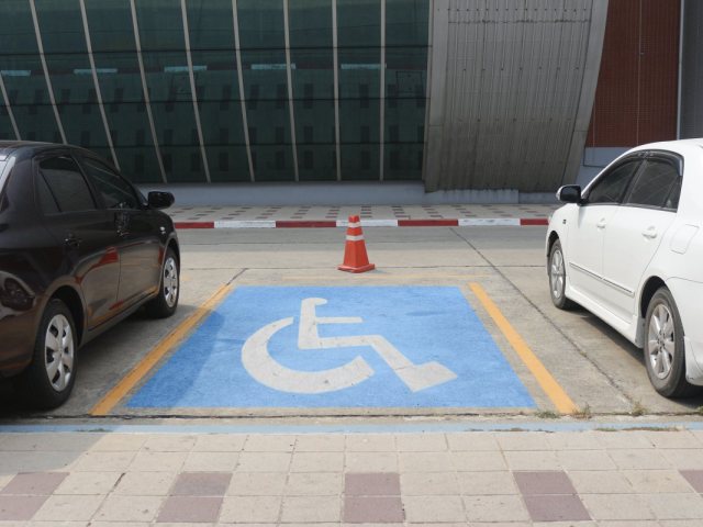 אילוסטרציה שאטרסטוק