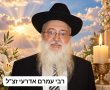 י"ב חדשים למומחה הכשרות רבי עמרם אדרעי זצ"ל: ספריו - נכס צאן ברזל