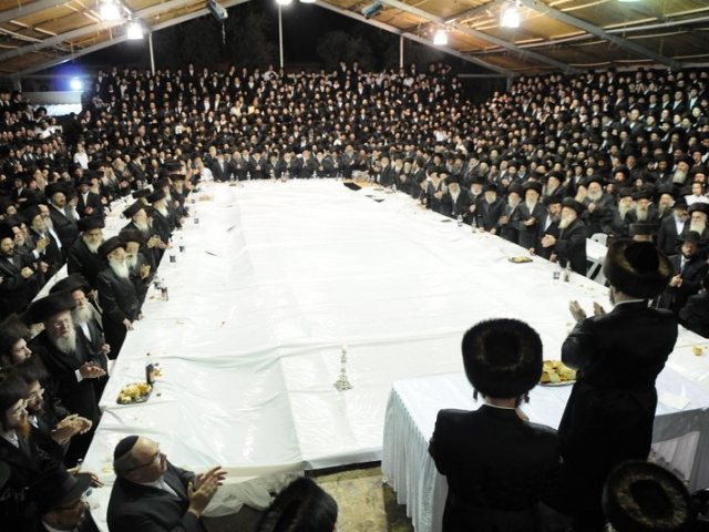 חסידות באיאן | צילום: אלי סגל