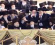 'אשורר שירה': כשחכם שלום רקד עם האדמו"ר