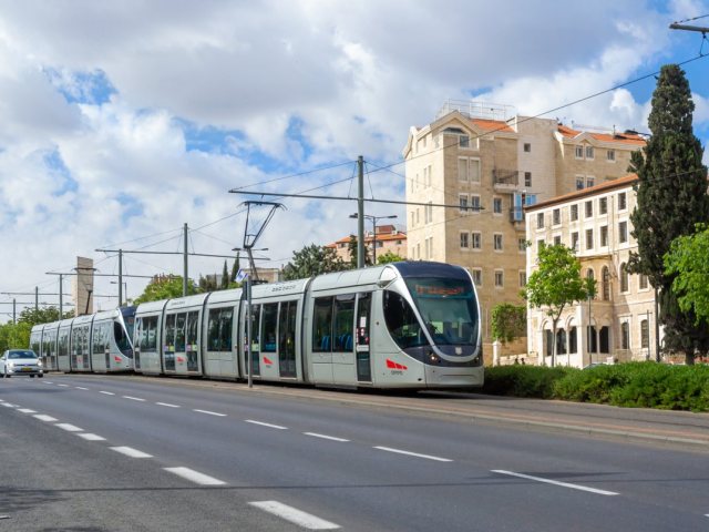 קרדיט: Eliricon / Shutterstock.com