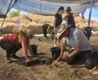רשות העתיקות: סיורים נוספים במפעל היין שהתגלה ביבנה