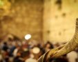 תקיעת שופר בכותל המערבי | shutterstock