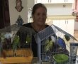 "פתאום אני קולטת שגנבו אותם עם הכלוב"- מי גנב את התוכים של רחל?