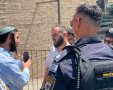 צבי סוכות. צילום: חזקי ברוך