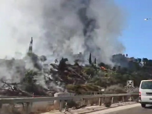 שריפה ליד הגבעה הצרפתית. צילום: ארנון בוסאני